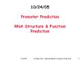 10/24/05  Promoter Prediction RNA Structure PowerPoint PPT Presentation