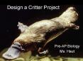 Design a Critter Project PowerPoint PPT Presentation