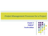 Project Management Processes for a Project