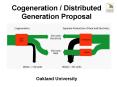 Cogeneration / Distributed Generation Proposal PowerPoint PPT Presentation