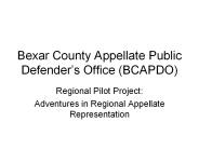 Bexar County Appellate Public Defender