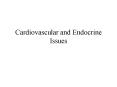 Cardiovascular and Endocrine Issues PowerPoint PPT Presentation