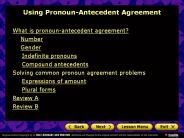Using Pronoun-Antecedent Agreement