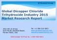 Global Dicopper Chloride Trihydroxide Industry 2015 Market Size Share Growth Forecast Research and Development PowerPoint PPT Presentation