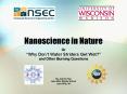 Nanoscience in Nature PowerPoint PPT Presentation