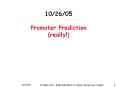 10/26/05  Promoter Prediction (really!) PowerPoint PPT Presentation