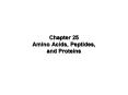 Chapter 25 Amino Acids, Peptides, and Proteins PowerPoint PPT Presentation