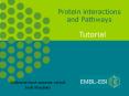 Protein interactions and Pathways PowerPoint PPT Presentation