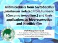 Antimicrobials from Lactobacillus plantarum isolated from turmeric (Curcuma longa linn.) and their applications as biopreservative and in edible film PowerPoint PPT Presentation