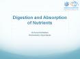 Digestion and Absorption of Nutrients PowerPoint PPT Presentation