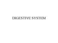 DIGESTIVE SYSTEM PowerPoint PPT Presentation