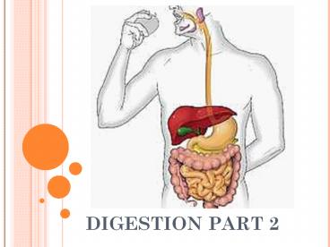 DIGESTION PART 2