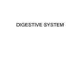 DIGESTIVE SYSTEM PowerPoint PPT Presentation