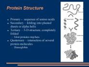 Protein Structure