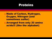 Proteins