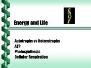 Energy and Life