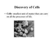 Discovery of Cells