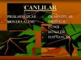 CANLILAR PowerPoint PPT Presentation