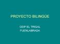 PROYECTO%20BILING PowerPoint PPT Presentation