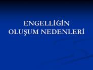 ENGELLIGIN OLUSUM NEDENLERI