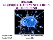 THEORIE NEURODEVELOPPEMENTALE DE LA SCHIZOPHRENIE