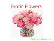 Exotic Flowers