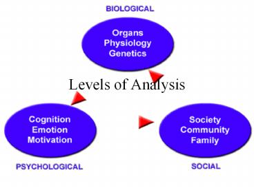 Levels of Analysis