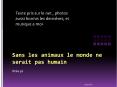 Sans les animaux le monde ne serait pas humain PowerPoint PPT Presentation
