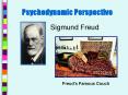 Psychodynamic Perspective PowerPoint PPT Presentation