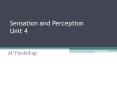 Sensation and Perception Unit 4 PowerPoint PPT Presentation