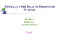 Building Up a Real Sector Confidence Index for Turkey PowerPoint PPT Presentation