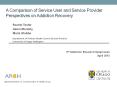 A Comparison of Service User and Service Provider Perspectives on Addiction Recovery PowerPoint PPT Presentation