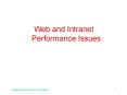 Web and Intranet Performance Issues PowerPoint PPT Presentation