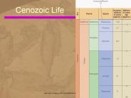 Cenozoic Life