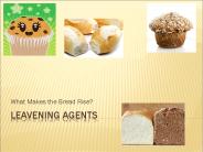 Leavening Agents