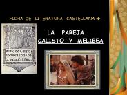 FICHA DE  LITERATURA  CASTELLANA ?