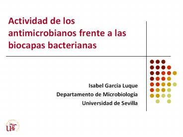 Actividad de los antimicrobianos frente a las biocapas bacterianas
