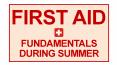 First Aid Fundamentals During Summer PowerPoint PPT Presentation