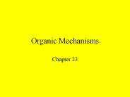 Organic%20Mechanisms