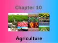 Agriculture PowerPoint PPT Presentation