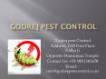 #Pest Control #Delhi-Call us@ 9811381458
