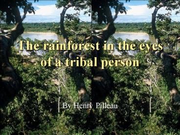 The rainforest in the eyes of a tribal person