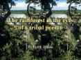 The rainforest in the eyes of a tribal person PowerPoint PPT Presentation