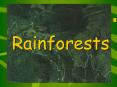 Rainforest PowerPoint PPT Presentation