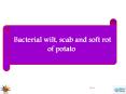 Bacterial wilt, scab and soft rot of potato PowerPoint PPT Presentation