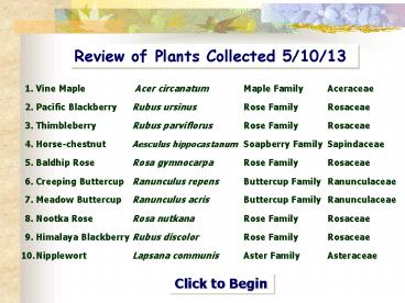 Review of Plants Collected 5/10/13