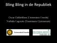 Bling Bling in de Republiek PowerPoint PPT Presentation