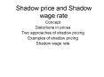 Shadow price and Shadow wage rate PowerPoint PPT Presentation