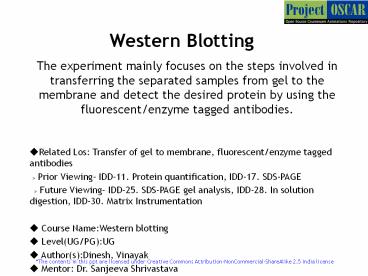 Western%20Blotting