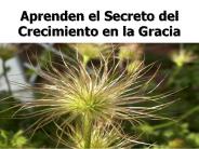 Estudio de la Naturaleza: Conceptos pt. 2